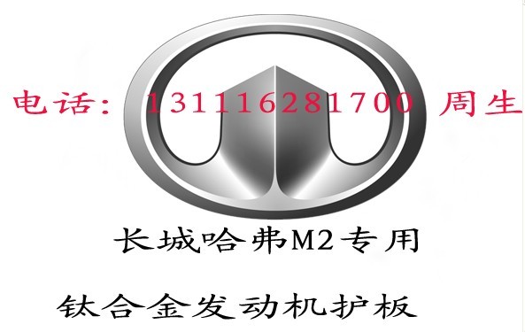 ӦM2M4