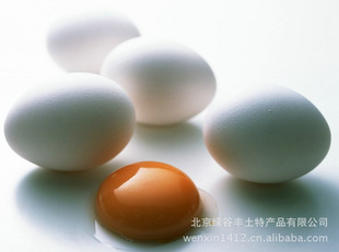 ƽزũɢڼ60öи̲Ʒ