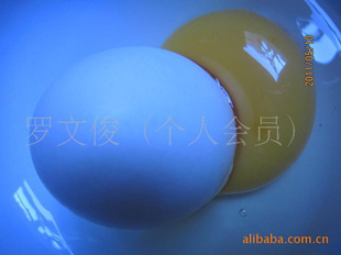ز/ڴ̬//ÿ1.50Ԫ/ͻ
