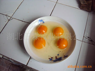 ũɢڲҪǮл...