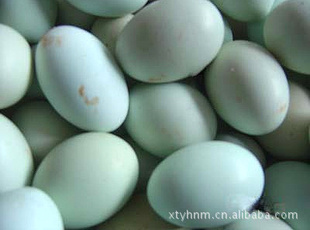 ڼڷθǿ̿ǵ