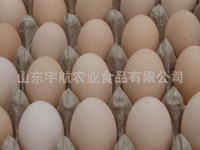 ڼֵ