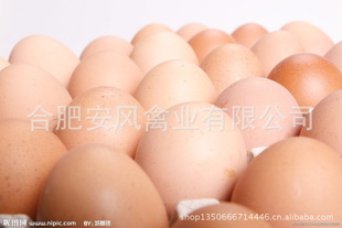 ݴݵϵз