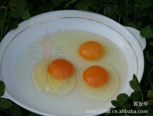 ӵиͶͯDHAͨ4-5Ա