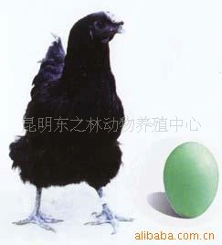 Ϸ̿Ǽ360ö/(ͼ)