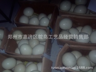 ʹƷƷ[񵰣񵰣񵰸Ӫ]