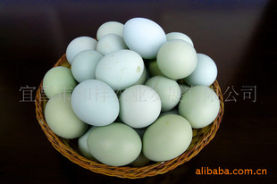 ڼ̿ǼӪḻڼ