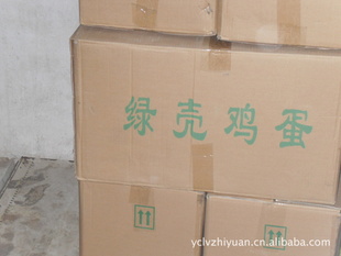 ̲ݼδѰ?뵽̨֮԰!