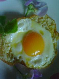 ֮ũҷ