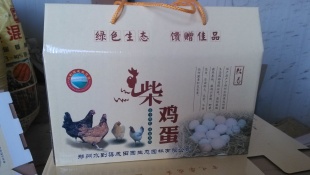 ڲ񼦵
