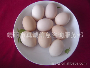 ʲݼӪ߿ڸкζ