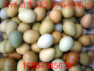 һԵѼ
