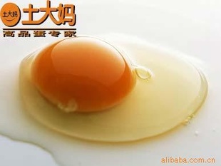 㶫Ʒڷ