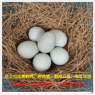 Ұɽʿļ