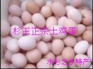 ϵؾ̵ָ۹˾ල