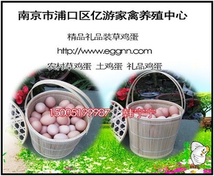 Ͼݼ