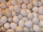 ǧ񼦵Żݣ500g/10ö