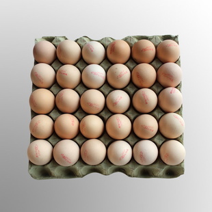 ũɢӪͨ