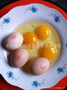 ۳ݼӪḻֱ
