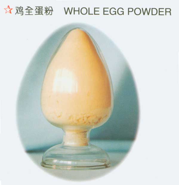 Ӧص͵̴ȫ