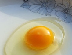 ʳƷ