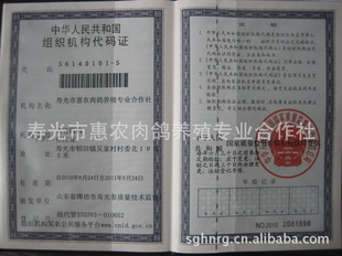 寿光鸽子蛋,寿光新鲜鸽子蛋,寿光鸽子蛋