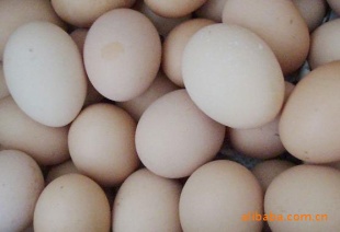 ڲݼ,,,ͳиˮũҲݼ