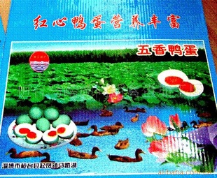 زѼ