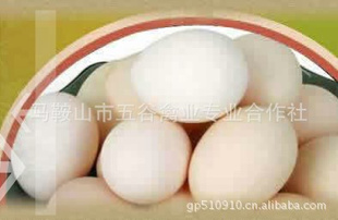 ʳƷũԲ
