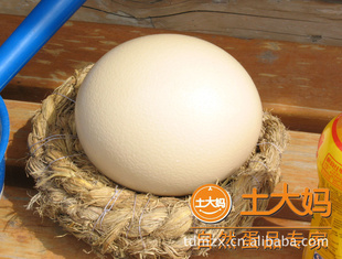 񵰸Ʒ蹫˾
