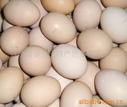 ũɢ500g5.5Ԫ