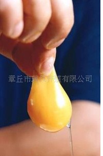 量大从多种物美价廉的鲜鸡蛋