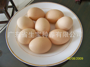 ζлڼӪḻͼ