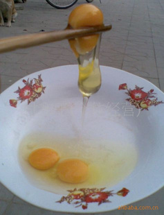 Ӫ̿Ǽ05-24