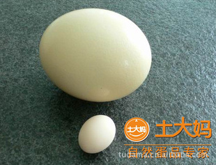 ݸӪƷ