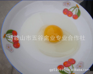 ũʸӪ۸Ż