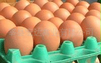 ۴ֵ