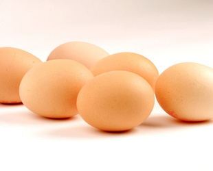 ӪڼƷ