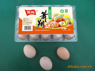 ؼӪ(15ö͸װ)