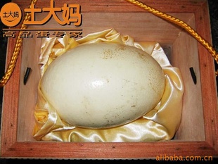 ֱӪ