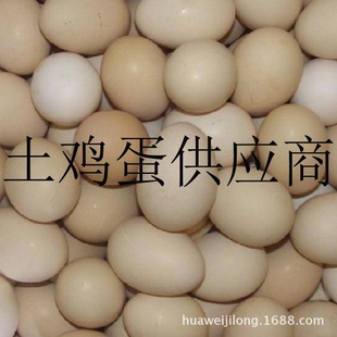 ȫɢݼԲ
