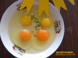 高营养新鲜鸡蛋