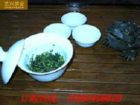 特级浓香铁观音铁观音批发铁观音价格春茶