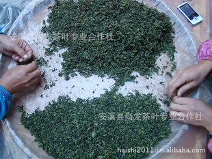 2012谲ϪҶ1725һ500gɢװ