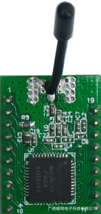 zigbeeģ飬С2.4Gߴģ
