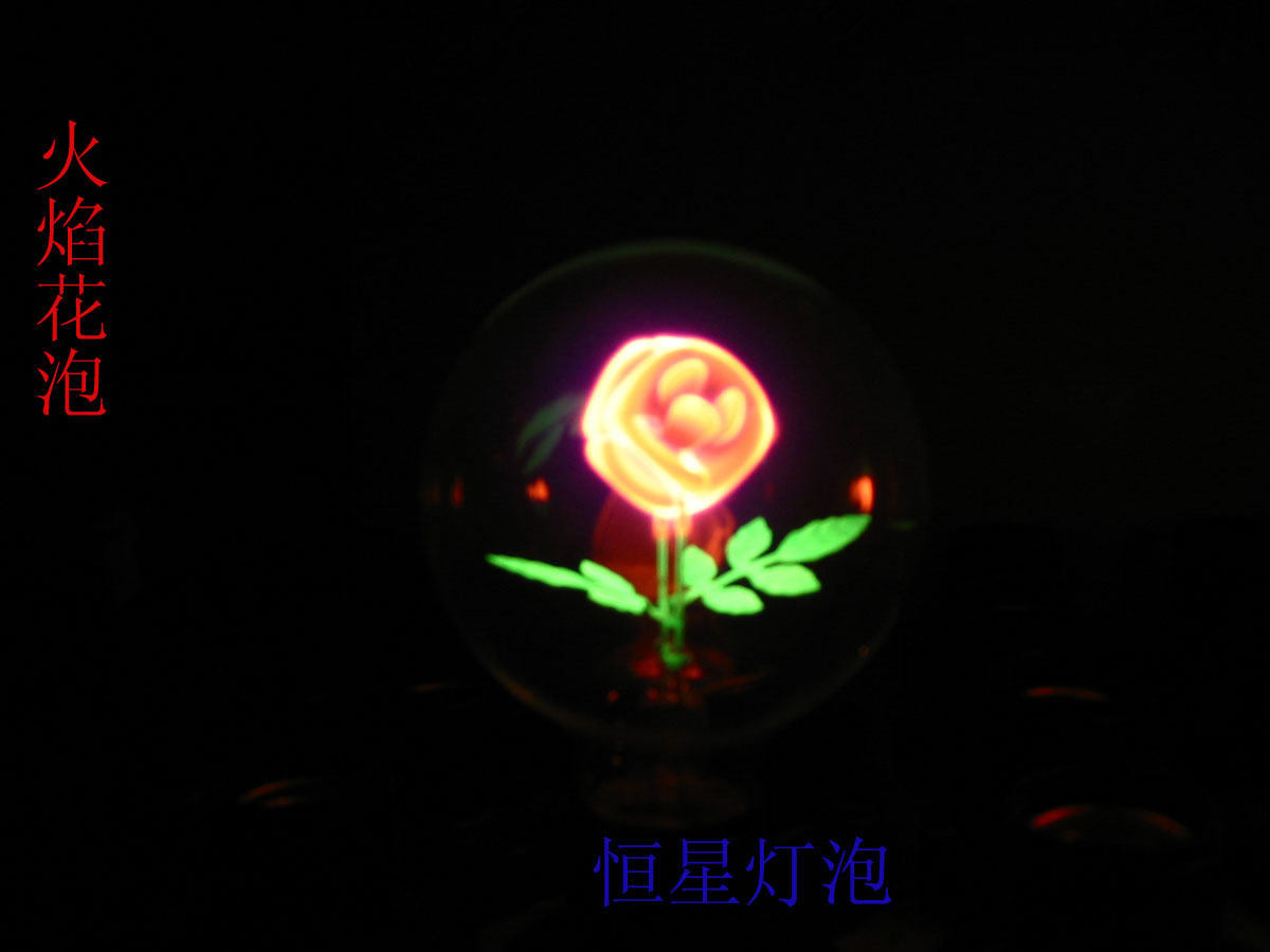 滨(ͼ)