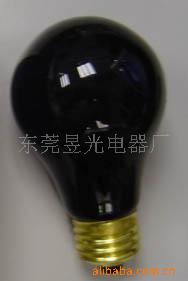 A19ڵ