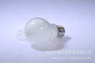 ŷ˾100V60Wϲ