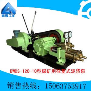 BWDS-120/10úʽཬ