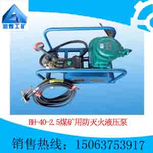 BH-40/2.5ú÷Һѹ÷Һѹ